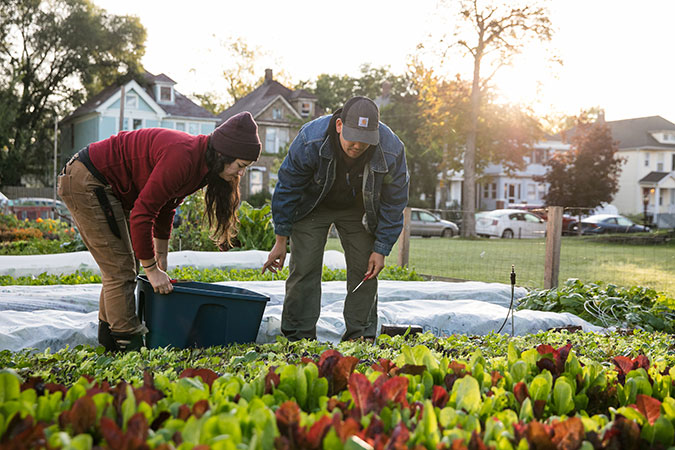Planting the Seeds of Investment