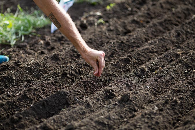 Planting the Seeds of Investment