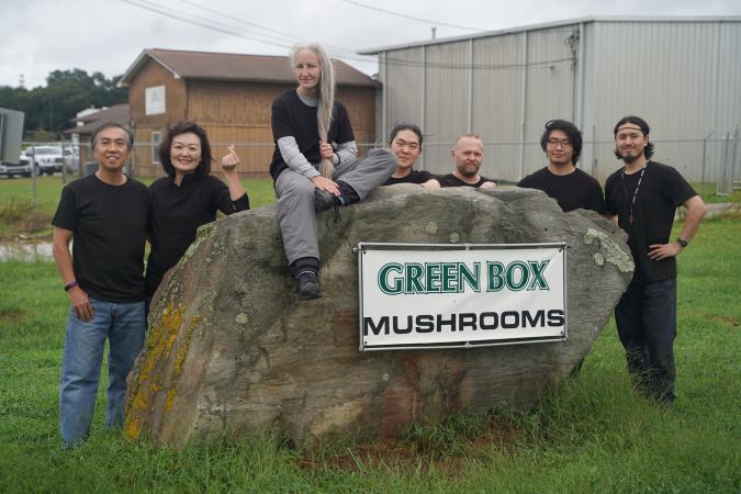 Green Box Mushrooms