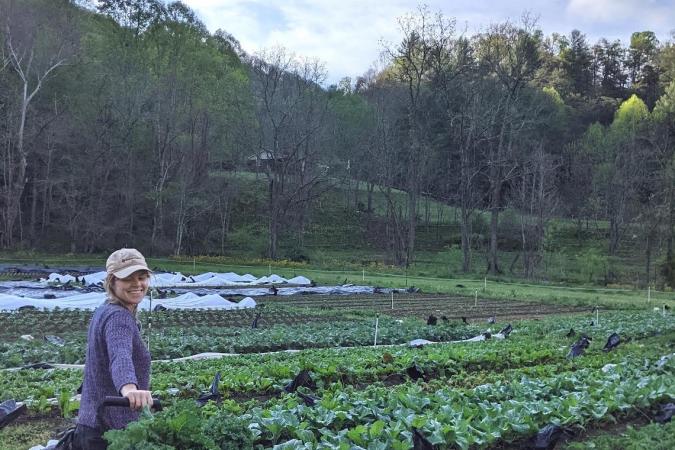 Mighty Gnome Market Garden