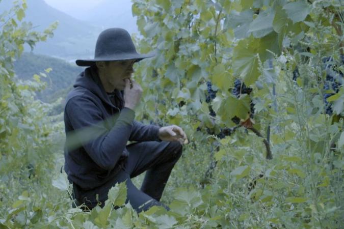 Domaine Julien Guillon