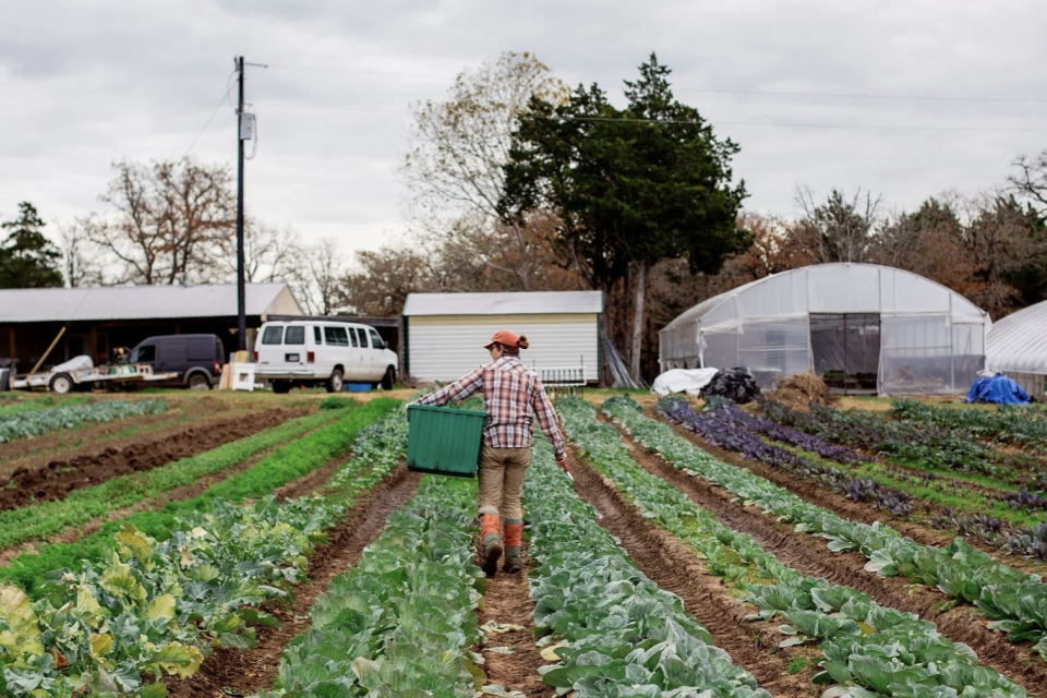 Central Texas Farmers Co-op
