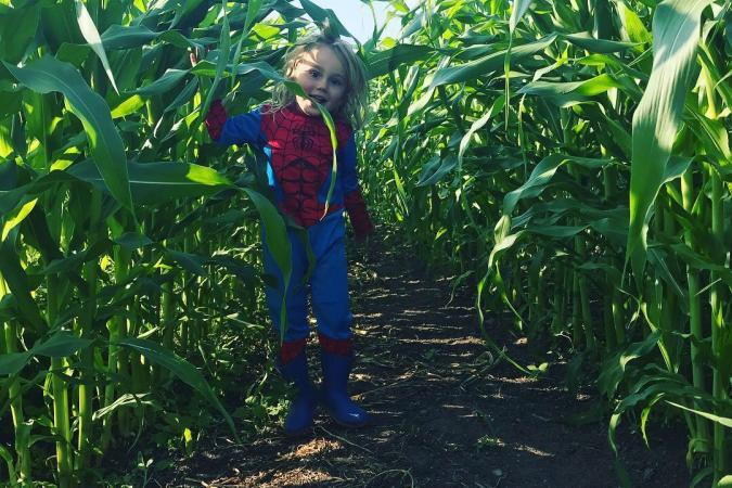 Abundance Family Farm’s Farm Stand
