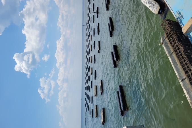 Grayson Bay Oyster Company