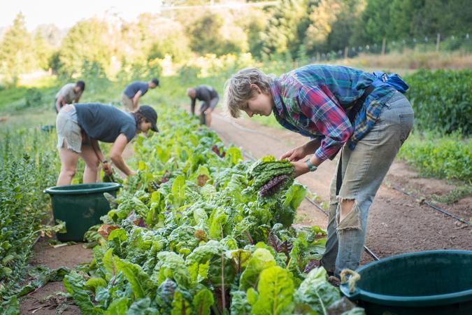 Shawn Linehan, Photographer & Videographer For Hire