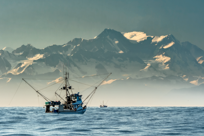 Mobile Salmon Processing Barge