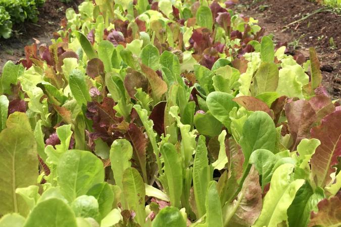 Farm Infrastructure & Equipment Upgrades