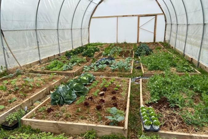 Fencing & High Tunnel Improvements