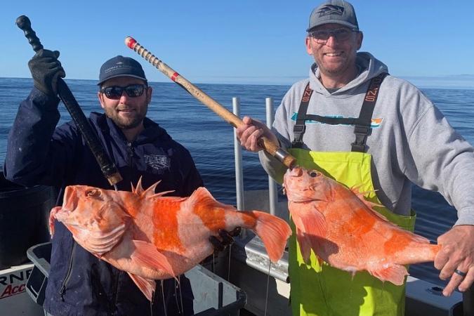 Rockfish And Black Cod Inventory Purchasing