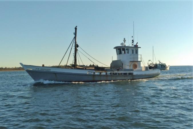 Establishing Oyster Beds