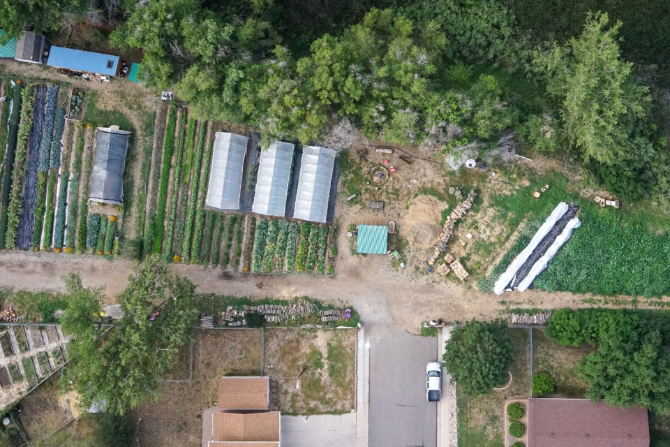 Nourishing Community Through Local Food