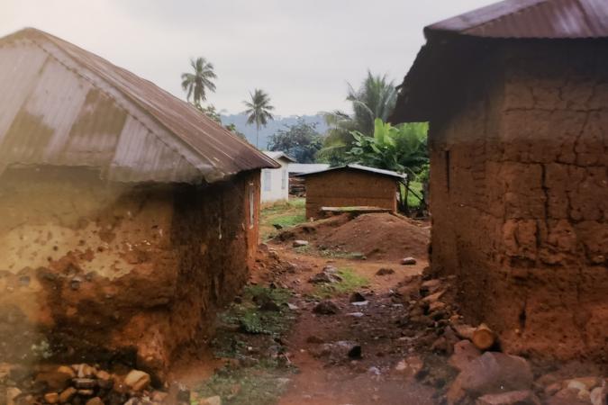 New Day Farms (Ghana)