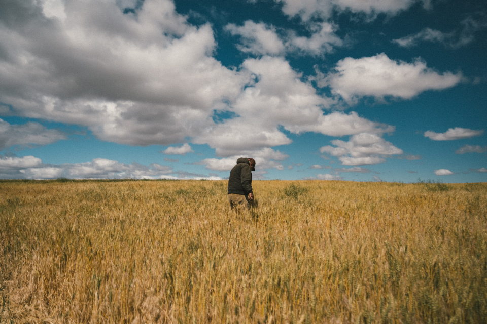 Financing Payments To 2026 Grain Farmers For New Mill