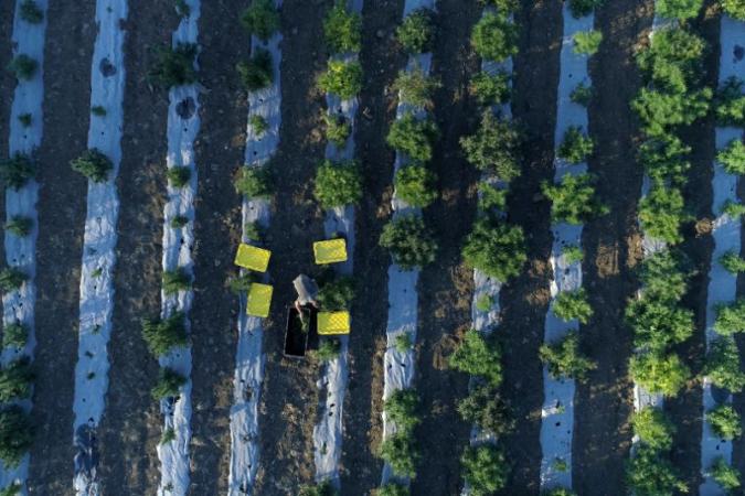 June 2021 Bridge Financing