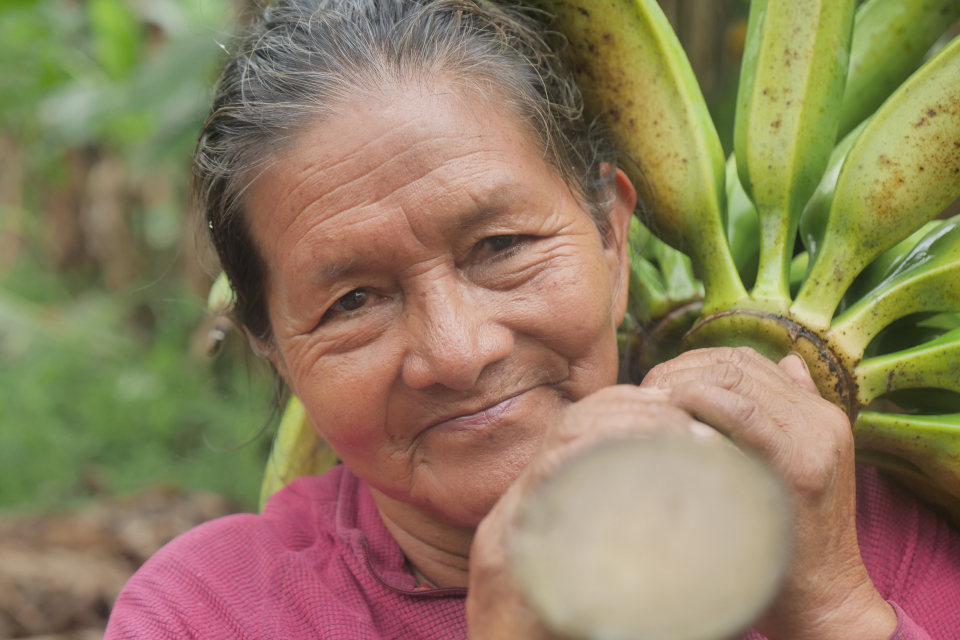 A Regenerative Supply Chain Rooted In The Rainforest