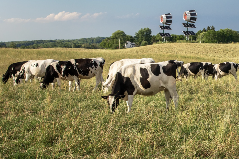 Regional Organic Dairy Expansion