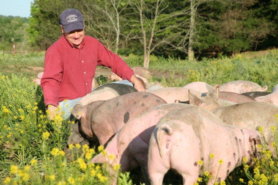 A Regenerative Future For A Fifth-Generation Missouri Farm