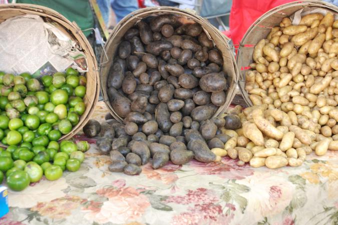 Equipment For Potato Growers Collective