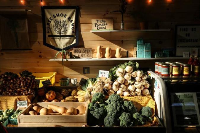 Refrigeration & Farm Store Setup