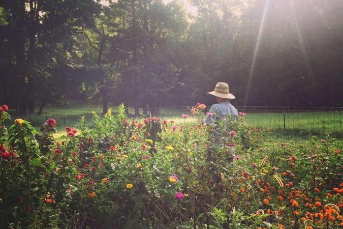 Farm Tunnels & Infrastructure Improvements