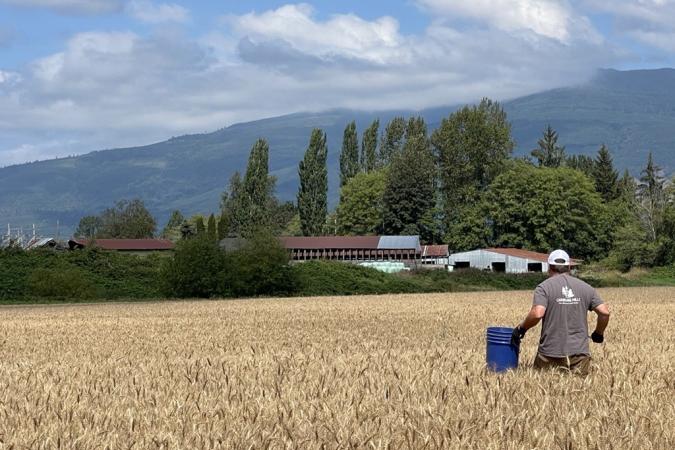 Financing Payments To 2023 Grain Farmers