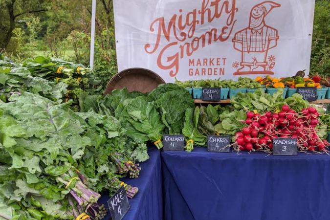 Equipment And Infrastructure For Vegetable Farm Expansion