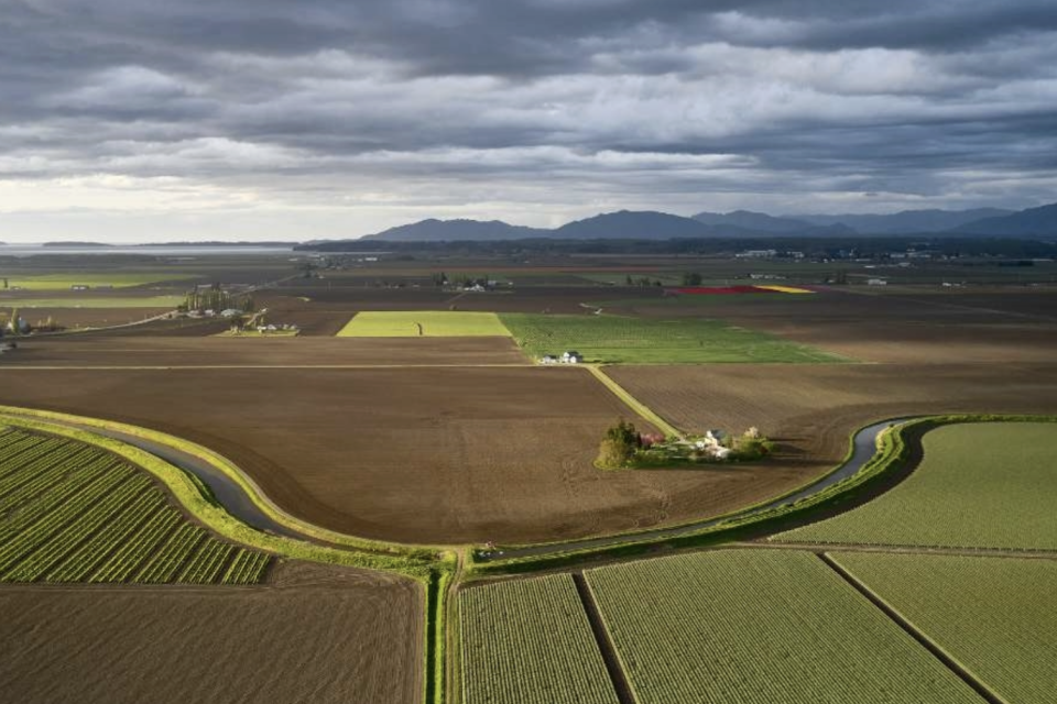 Cairnspring Non-Guaranteed B&I Loan