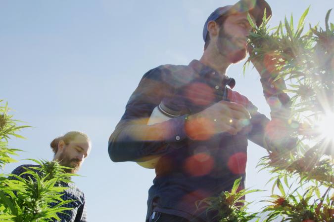 April 2021 Bridge Financing