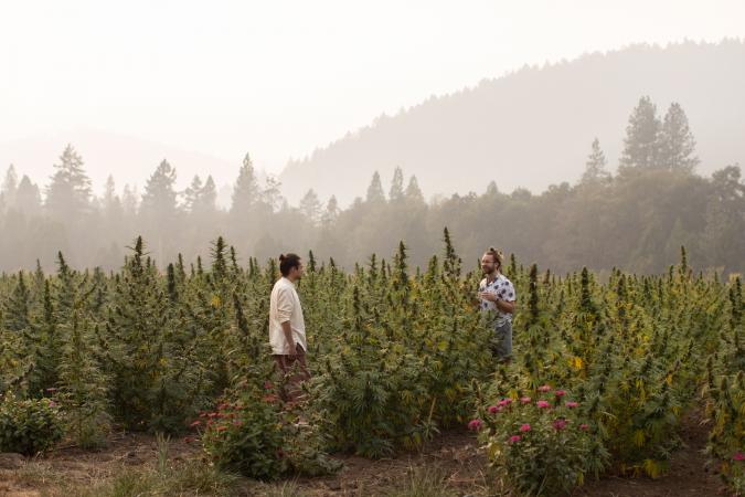 October 2021 Bridge Financing