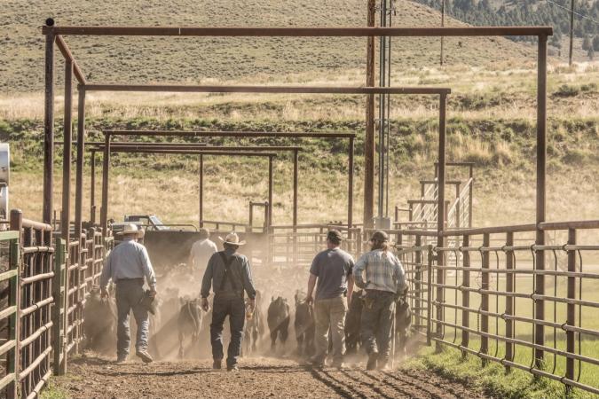 Grant Reimbursement For Grass-Fed Meat Processing Facility