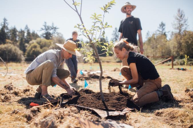 Diversified Crop Production And On-Farm Hospitality