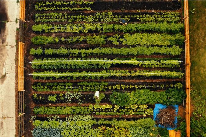 Urban Farm Infrastructure And Equipment