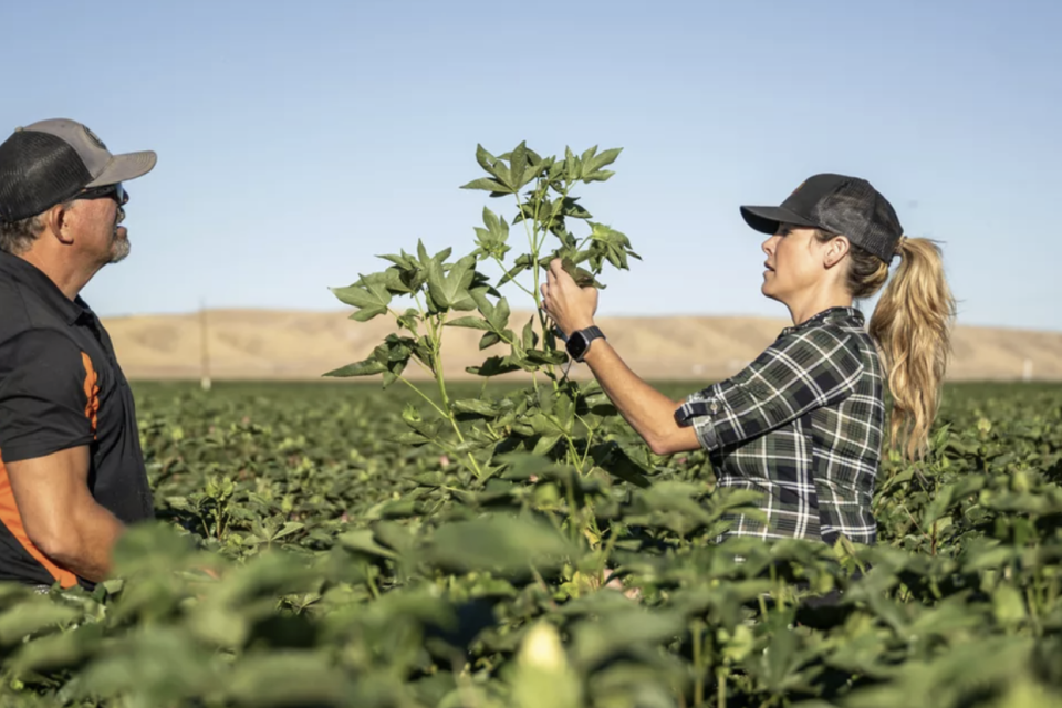 Strengthening AEA’s Foundation For Regenerative Growth