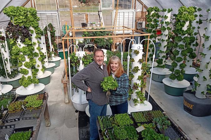 Move Farm, Expand, Grow More, Serve More