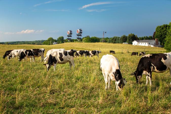 Equipment & Land Refinance For Organic Dairy