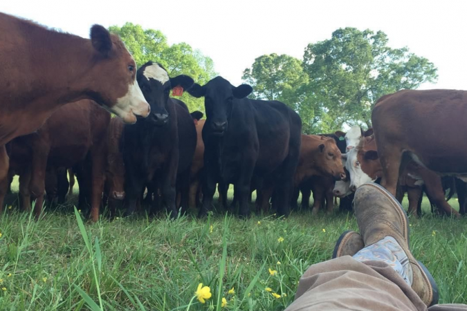 Iverstine 2022 - Third Party Loan