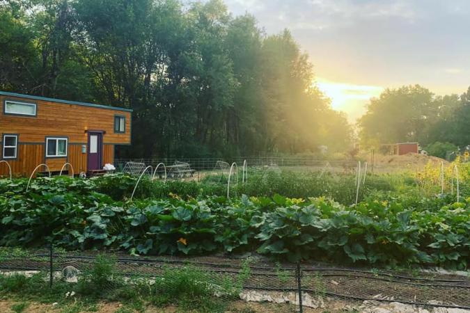 Land Purchase & Farm Improvements