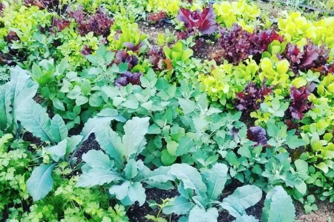 Solar Installation For Irrigation And Greenhouse Fans