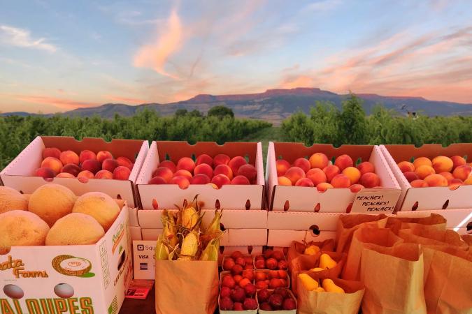 Organic Farm Expansion